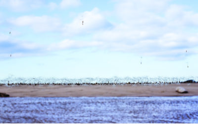 David Catá retrata para Compostela Photo un soño ao final do Camiño