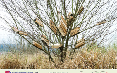 A conexión entre cultura e natureza na obra de Verónica Vicente